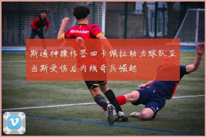斯通神操作签回卡佩拉助力球队亚当斯受伤后内线奇兵崛起